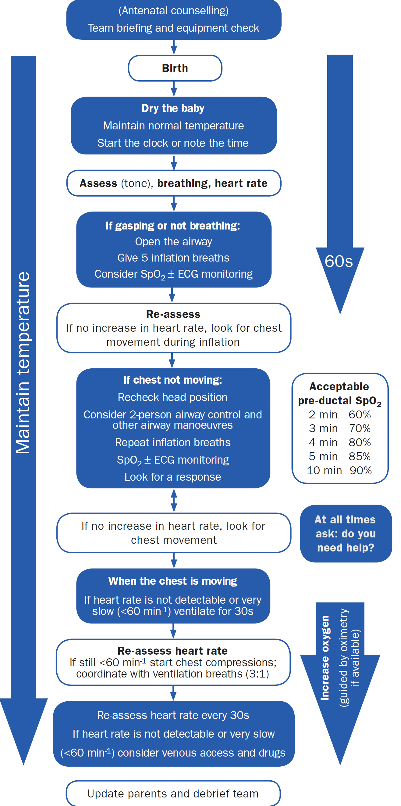 Nrp Neonatal Resuscitation Algorithm